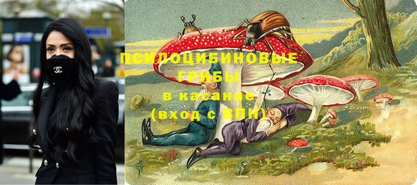 бошки Абдулино
