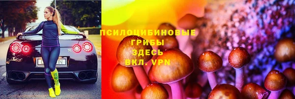 прущая мука Абаза